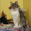 Отзыв от Алина Алексеева